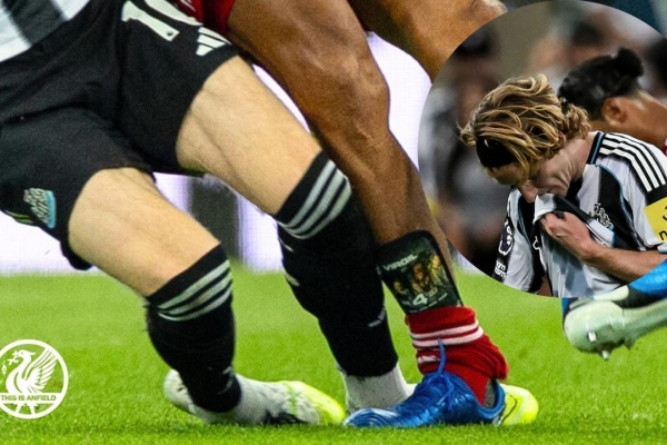 Anthony Gordon xin lỗi Virgil van Dijk