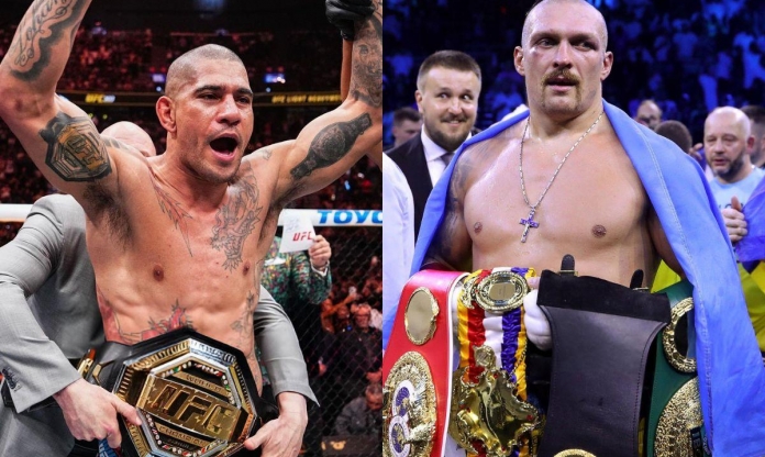 Alex Pereira muốn thượng đài với Oleksandr Usyk
