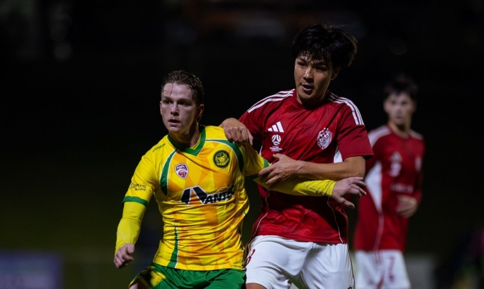 Nhận định Holland Park Hawks vs Rochedale: Chủ nhà gặp nguy