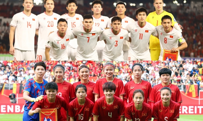 Chia tay Troussier, bóng đá Việt Nam lập cột mốc khó tin
