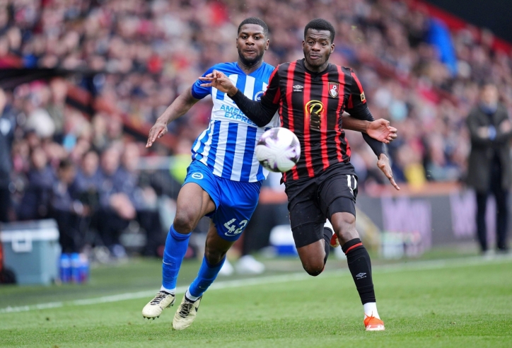 Trực tiếp Bournemouth vs Brighton, 21h00 hôm nay 13/9