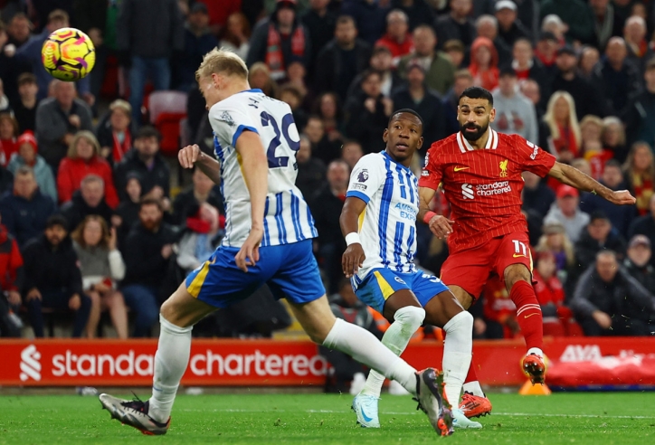 Nhận định Brighton vs Liverpool: Cơn mưa bàn thắng