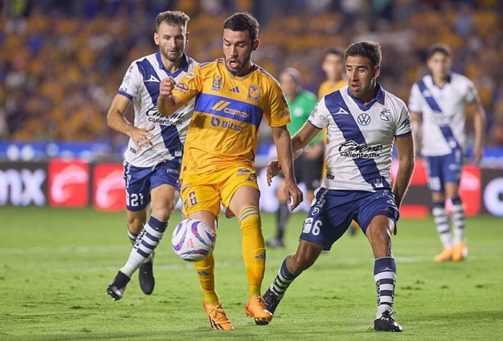 Nhận định Tigres UANL vs Puebla: Ác mộng chờ đợi khách