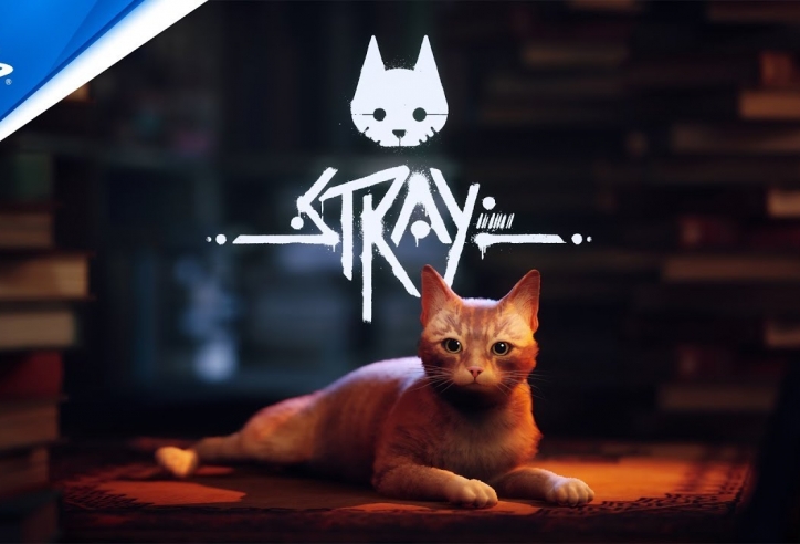 Hóa thân thành phượt thủ mèo đi khắp muôn phương trong tựa game Stray