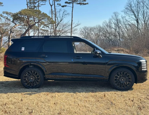 Hyundai Palisade 2025 khoe bản độ cá nhân 'full black' độc đáo tại quê nhà