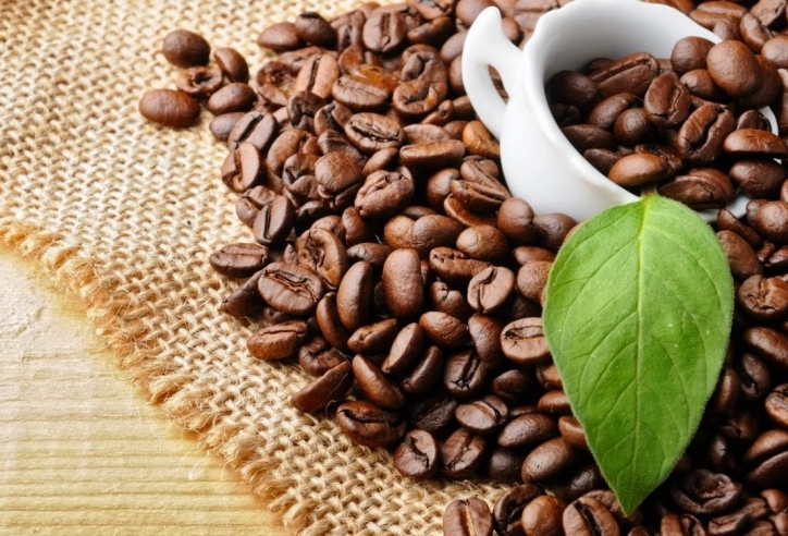 Giá cà phê hôm nay 8/7/2025: Chuyển hướng tiêu cực