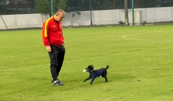 VIDEO: 'Tan chảy' với khoảnh khắc đáng yêu của HLV Park Hang Seo