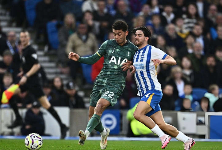 Trực tiếp Brighton vs Tottenham, 21h00 hôm nay 20/9