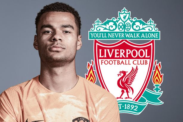 CHÍNH THỨC: Vượt mặt MU, Liverpool sở hữu Gakpo với mức giá kỷ lục