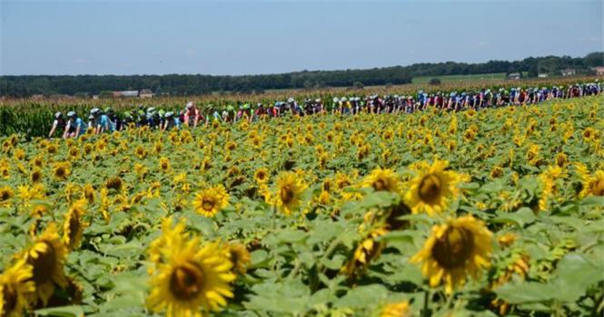 Tour de France 2014 Highlights: Chặng 4->10 - Le Touquet-Paris-Plage đến La Planche des Belles Filles