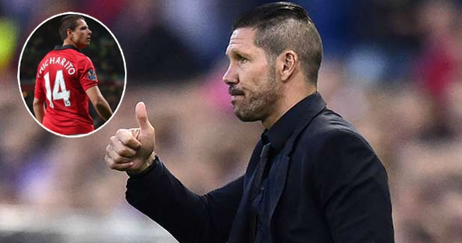 Diego Simeone xác nhận theo đuổi Chicharito