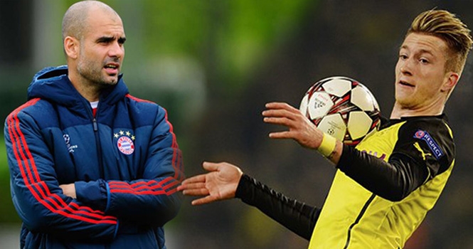 Pep Guardiola: Bayern Munich không cần Marco Reus