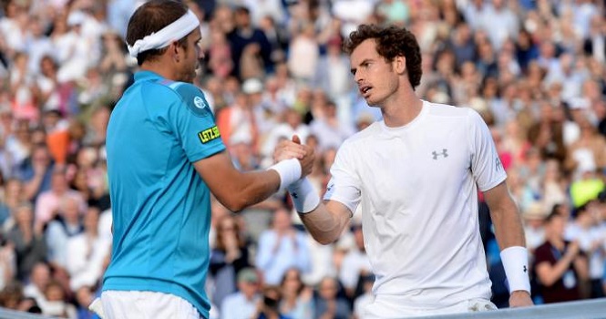 Aegon Championships 2015: Raonic dừng bước, Murray vào bán kết