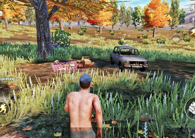 PUBG Mobile: Cập nhật vẻ đẹp mới của bản đồ Erangel 'mùa thu lá vàng'