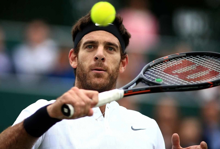 Del Potro rút lui khỏi Australian Open 2019 vì chấn thương