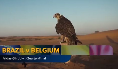 Nhà tiên tri dự đoán kết quả Brazil vs Bỉ: Hứa hẹn nhiều bàn thắng