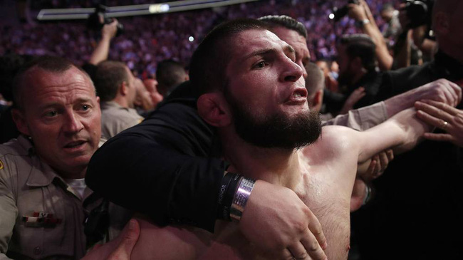 Giới chuyên môn nói gì về màn ẩu đả tại UFC 229?