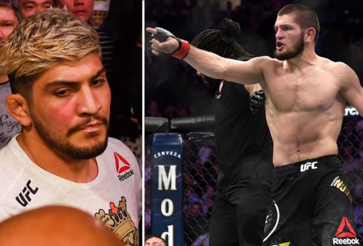 Khabib nêu lí do vô cùng ... khó hiểu khi lao vào Dillon Danis tại UFC 229