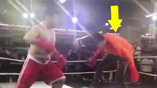 Cao thủ Bát Quái Chưởng bị võ sĩ MMA đánh cho 'lên bờ xuống ruộng'