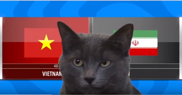 VIDEO: Mèo tiên tri dự đoán trận Việt Nam vs Iran