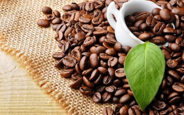 Giá cà phê hôm nay ngày 21/7: Thị trường bình ổn