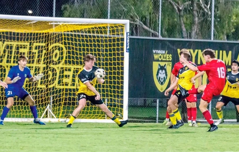 Nhận định Brisbane City vs Wynnum Wolves: Sẽ có nhiều bàn