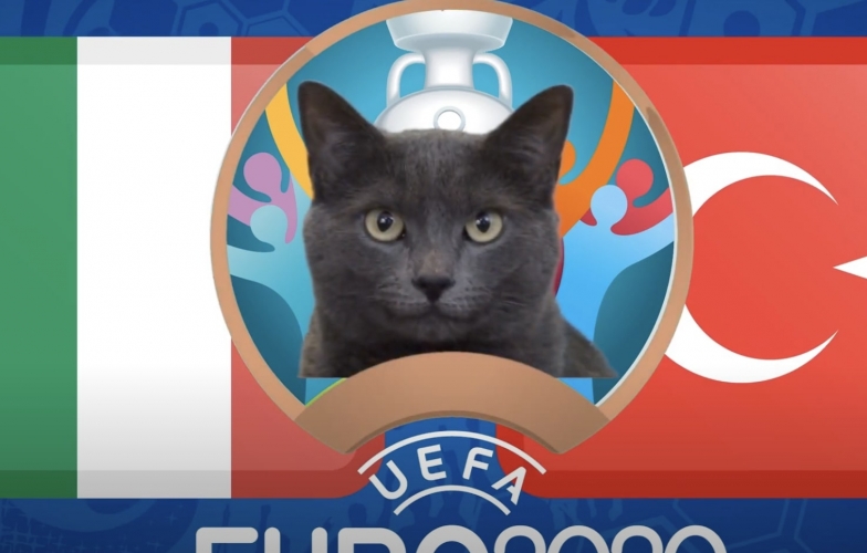 Mèo tiên tri dự đoán Thổ Nhĩ Kỳ vs Italia: Bất ngờ đầu tiên?