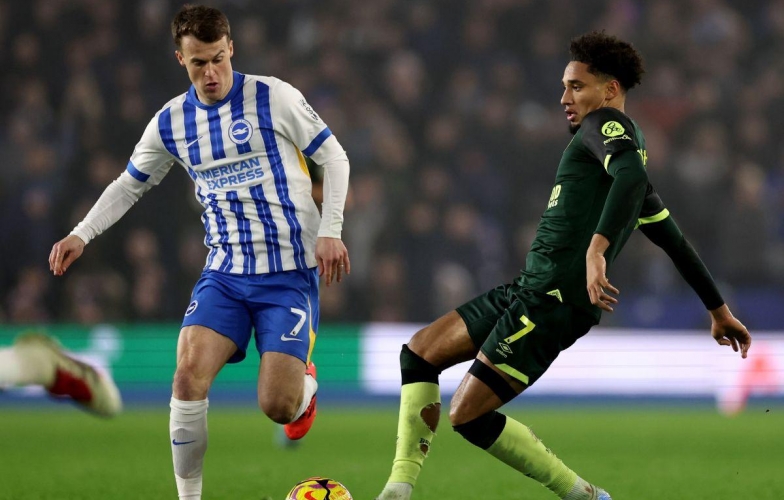 Nhận định Brighton vs Brentford: Cơ hội chia đều