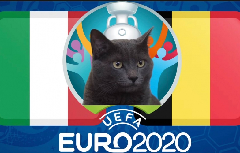 Mèo tiên tri dự đoán Bỉ vs Italia: Niềm vui cho đội bóng số 1?