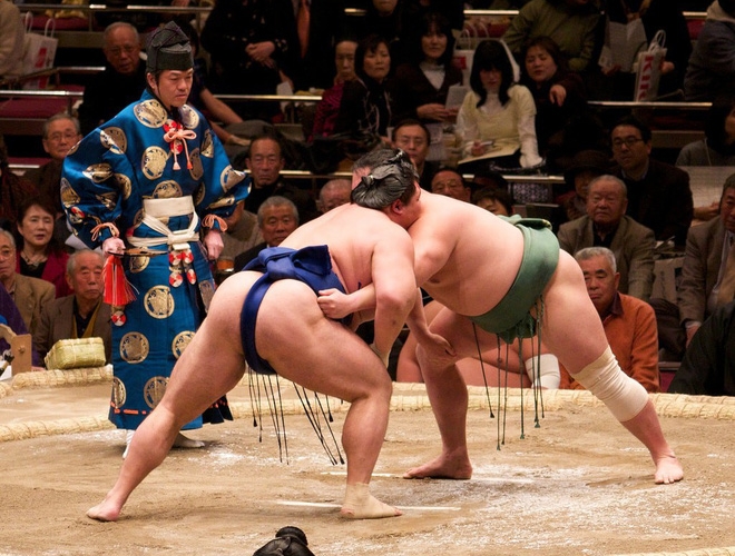 Nặng hơn 100kg, sumo có thể đi 'máy bay' như thế nào?