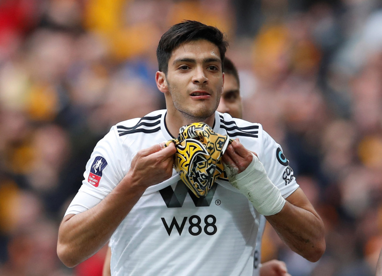 ăn mừng, video ăn mừng, raul jimenez, raul jimenez ăn mừng, wolves 2-3 watford, bán kết cúp fa, cúp fa, chung kết cúp fa