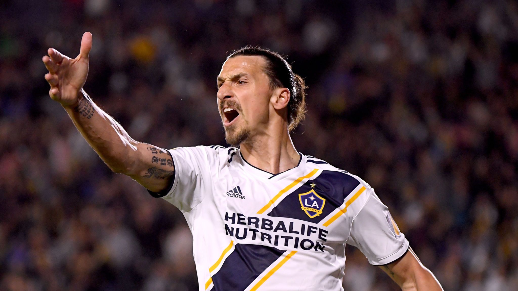 Ibra, Ibrahimovic, L.A Galaxy, MLS, bóng đá Mỹ, los angeles galaxy, zlatan