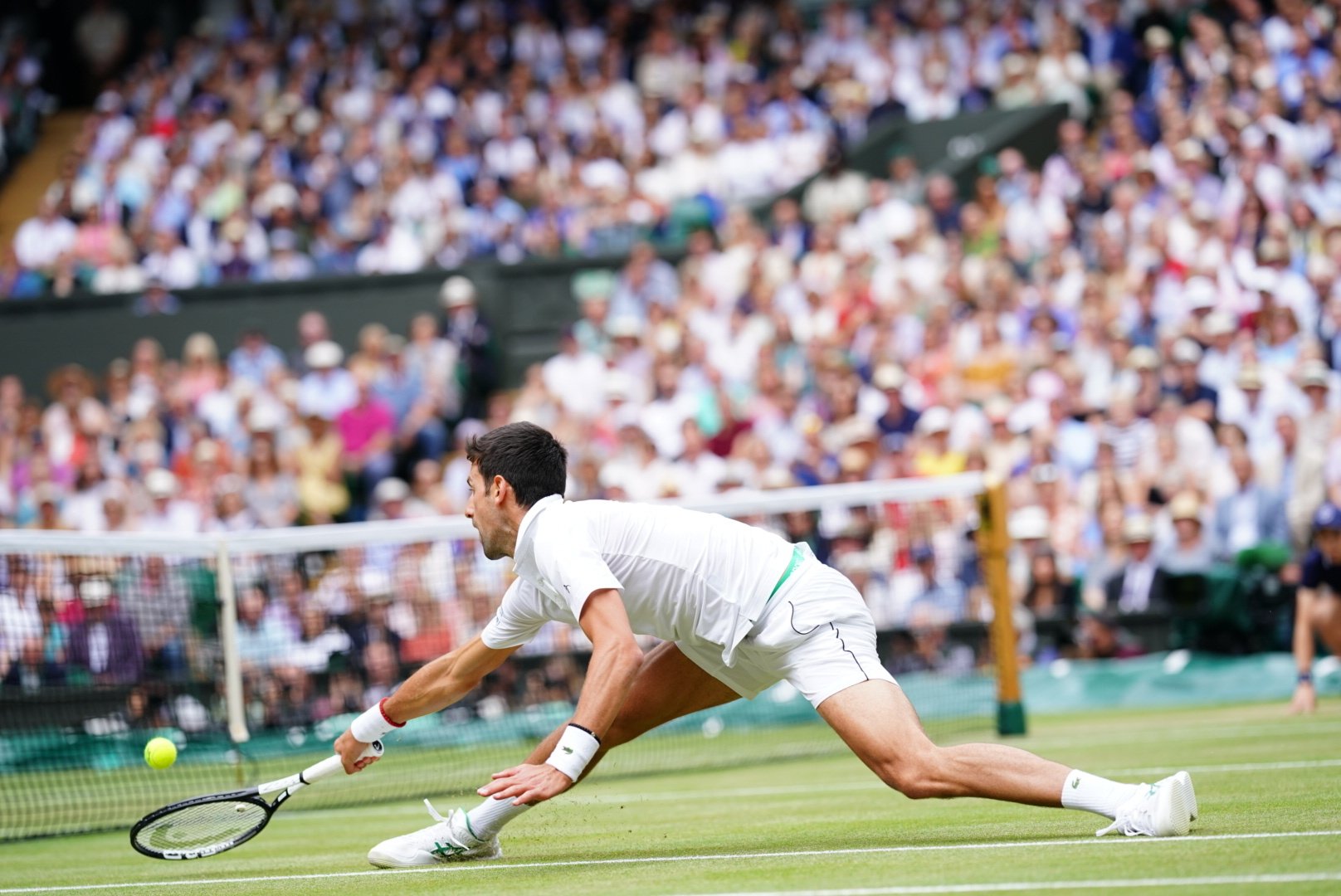 Federer, Djokovic, federer vs djokovic, federer thua, federer thất bại, fererer lặng người, wimbledon