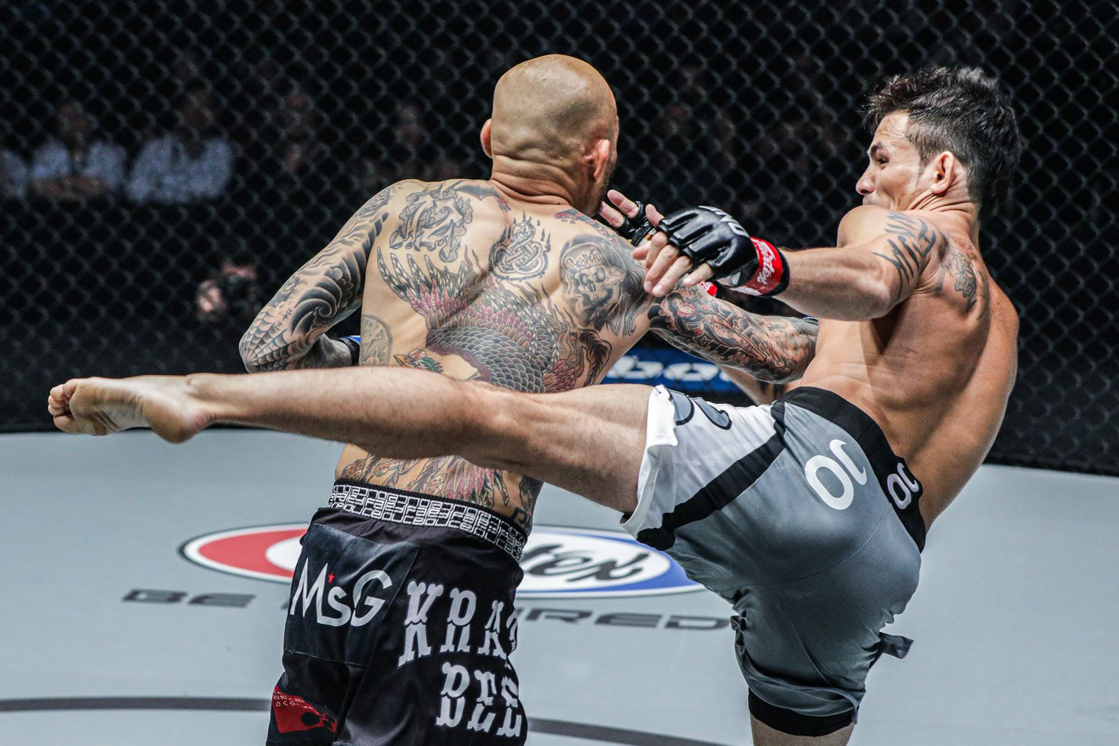 ONE Championship, Martin Nguyen, Thanh Le, Việt Nam, võ sĩ gốc Việt, MMA, ONE