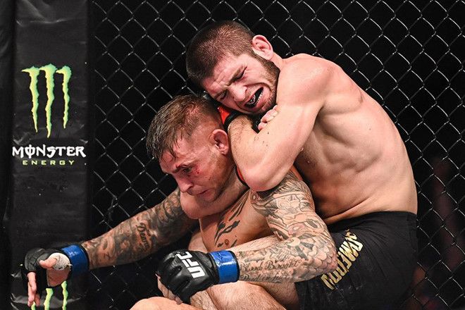 UFC, trực tiếp UFC, trực tiếp UFC 242, Khabib vs Poirier, Khabib, trực tiếp Khabib vs Poirier, link xem UFC, McGregor