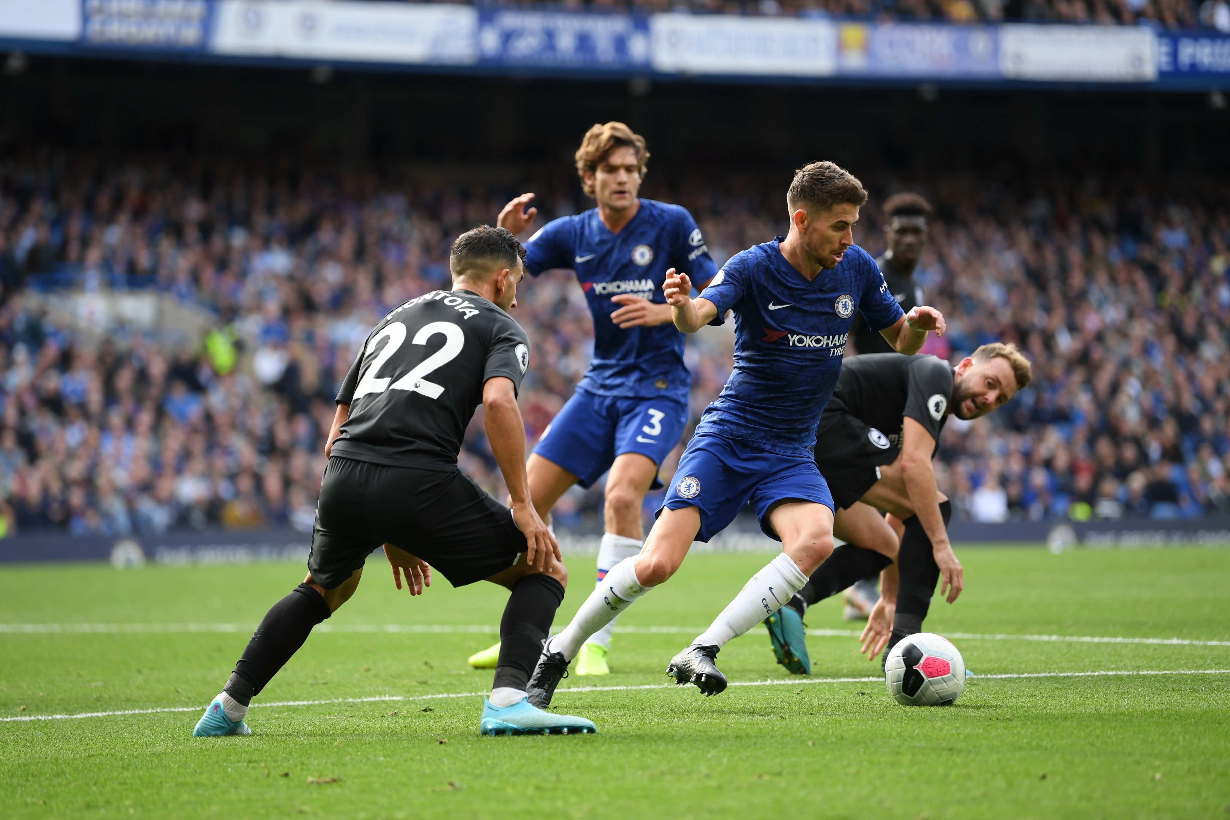 Trực tiếp Chelsea vs Brighton, Trực tiếp Ngoại hạng Anh, Chelsea vs Brighton, Chelsea, Brighton, ngoại hạng Anh