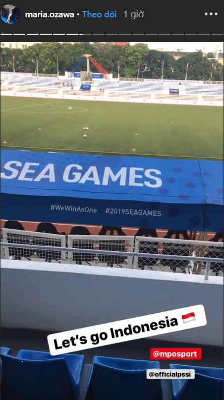 Ozawa tai sea games 30