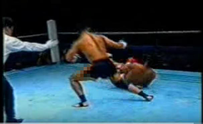 cung le
