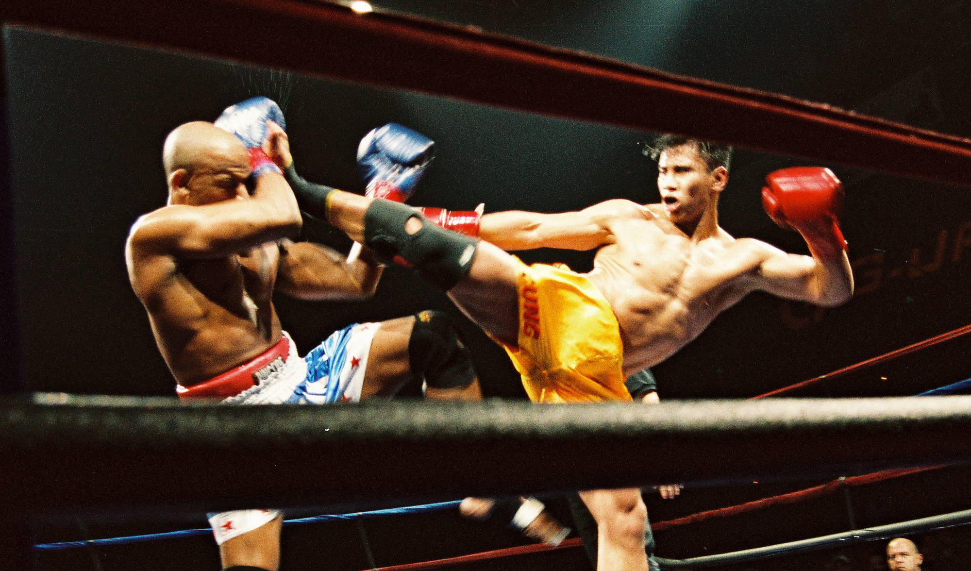 cung le