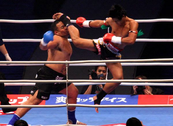 knock-out
