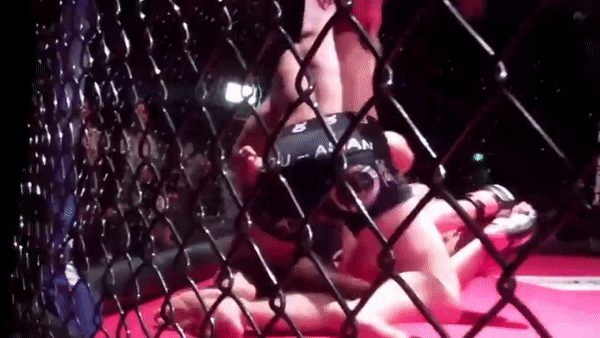 'Vua MMA gốc Việt' tung mưa đòn khiến sự nghiệp đối thủ lụn bại