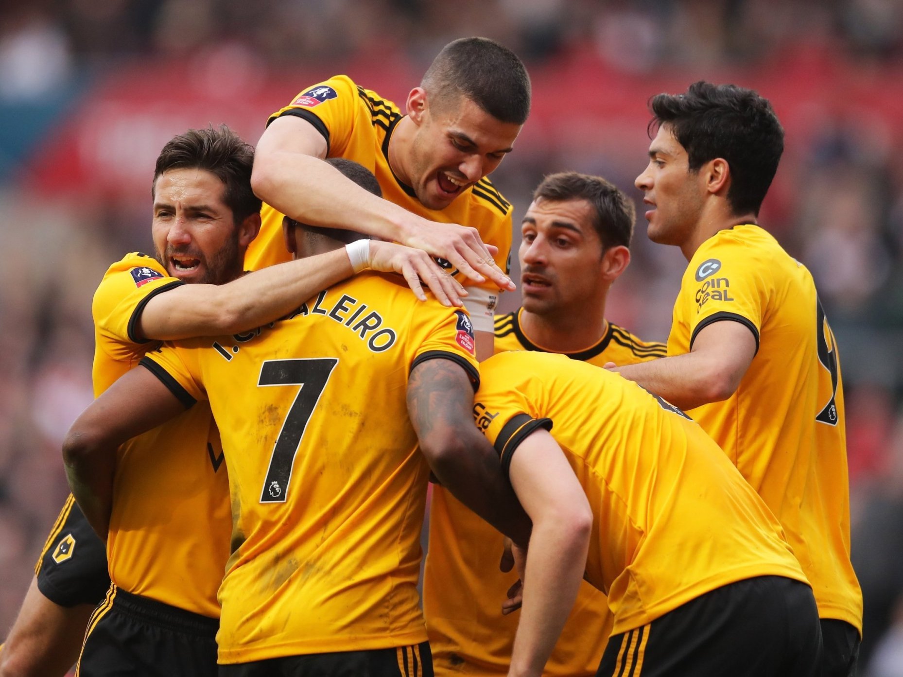 wolves vs mancity