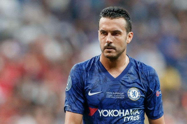Pedro roi chelsea