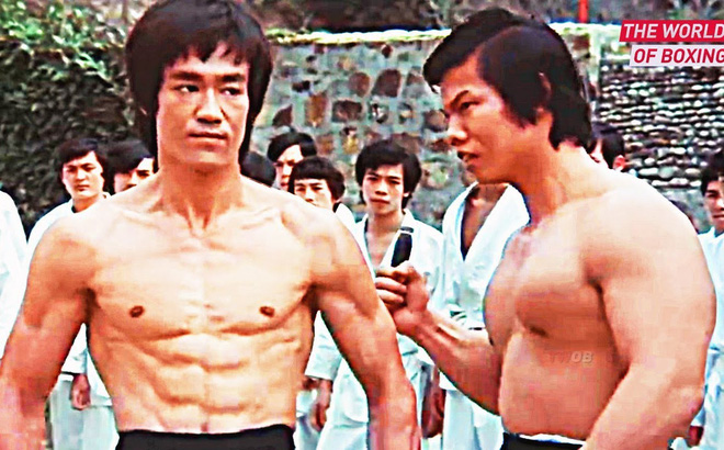 su de ly tieu lông