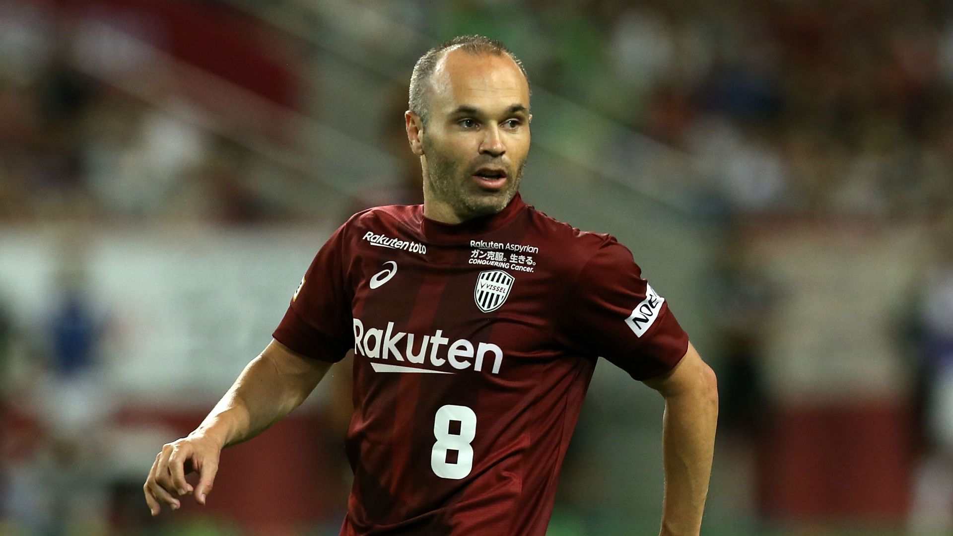iniesta fernandes