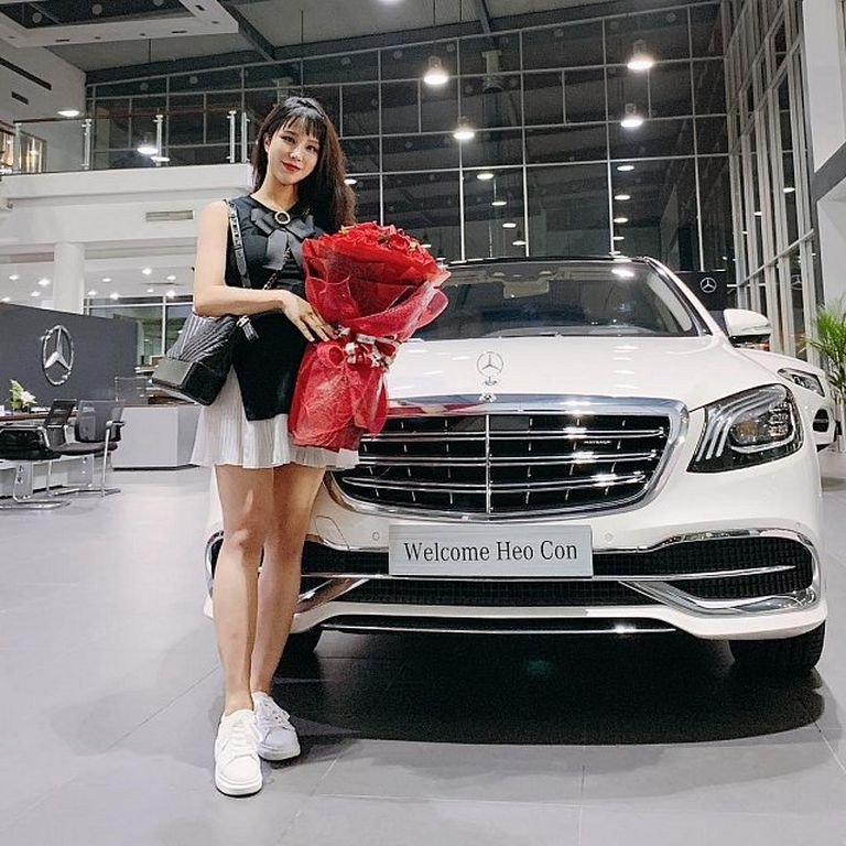 Ca sĩ Việt mua Mercedes-Benz, Sao Việt mua Mercedes-Benz, Mercedes-Benz,