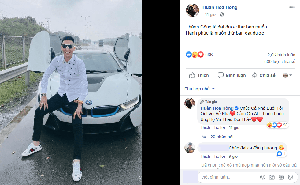 Huan hoa hong dung xe tren cao toc