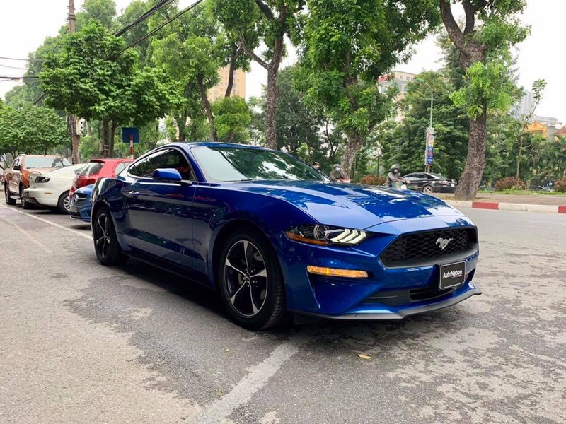 mustang mau xanh