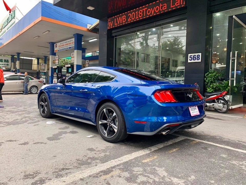 mustang mau xanh