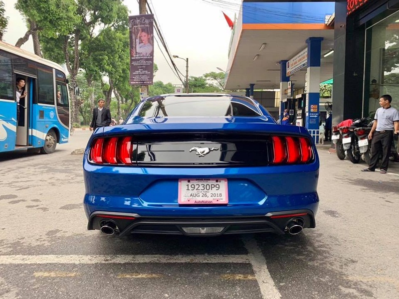 mustang mau xanh